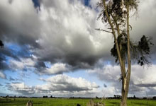 切尔西遭遇连败，欧冠席位岌岌可危