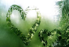 切尔西遭遇连败，欧冠席位岌岌可危