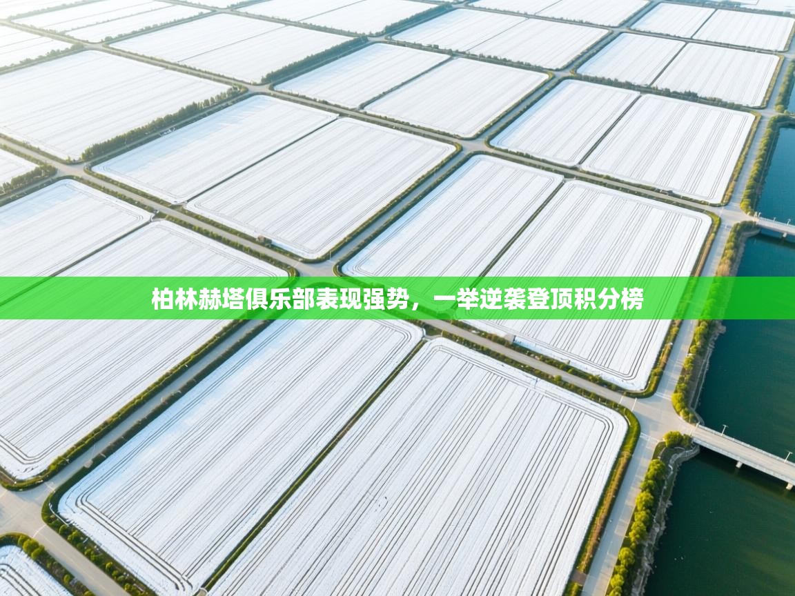 柏林赫塔俱乐部表现强势，一举逆袭登顶积分榜  第1张