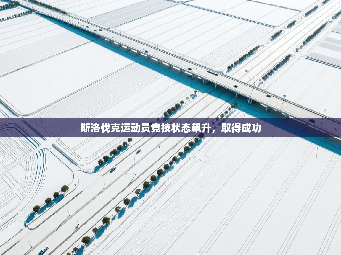 斯洛伐克运动员竞技状态飙升,取得成功 第2张