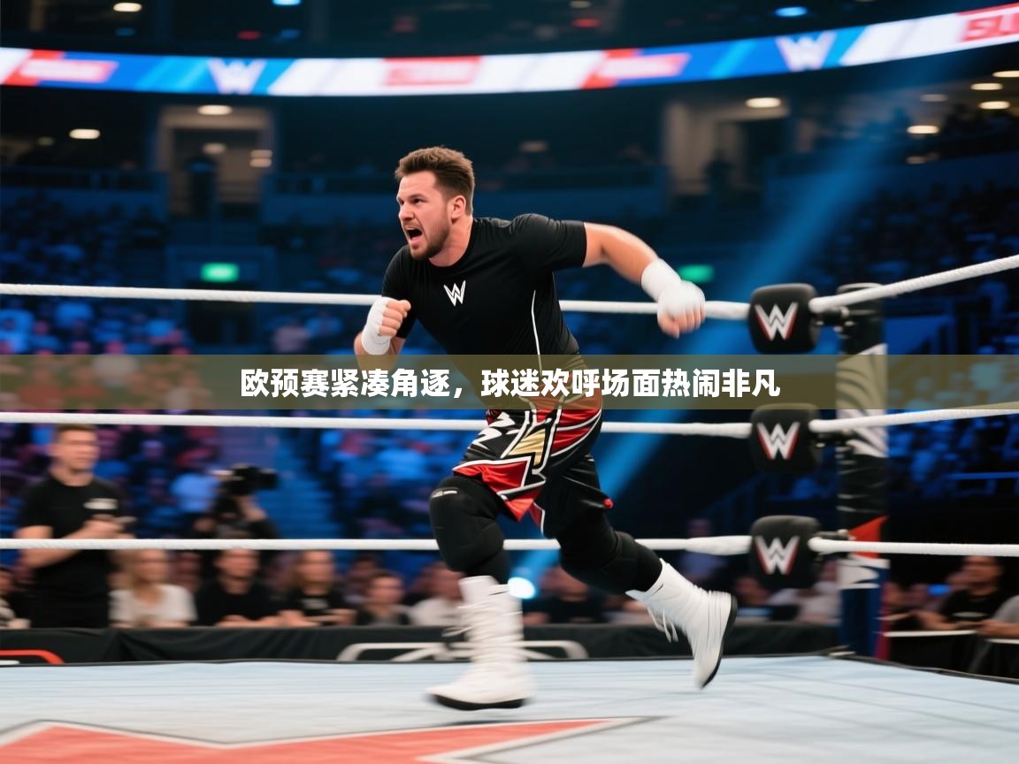 欧预赛紧凑角逐，球迷欢呼场面热闹非凡  第1张