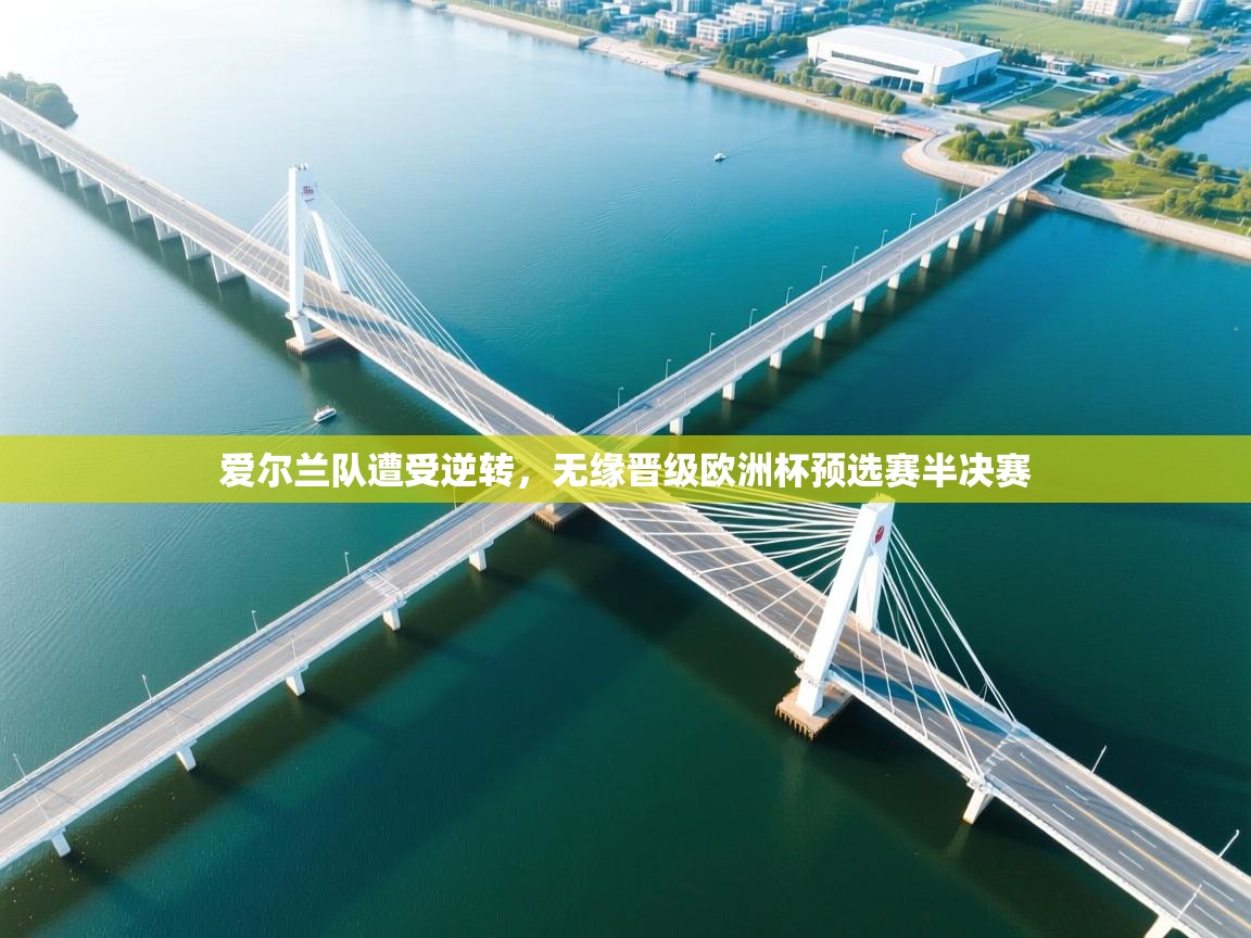 爱尔兰队遭受逆转，无缘晋级欧洲杯预选赛半决赛  第2张