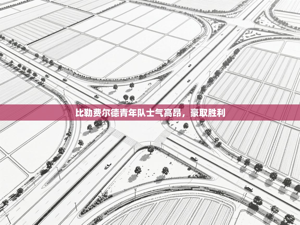 比勒费尔德青年队士气高昂，豪取胜利  第1张