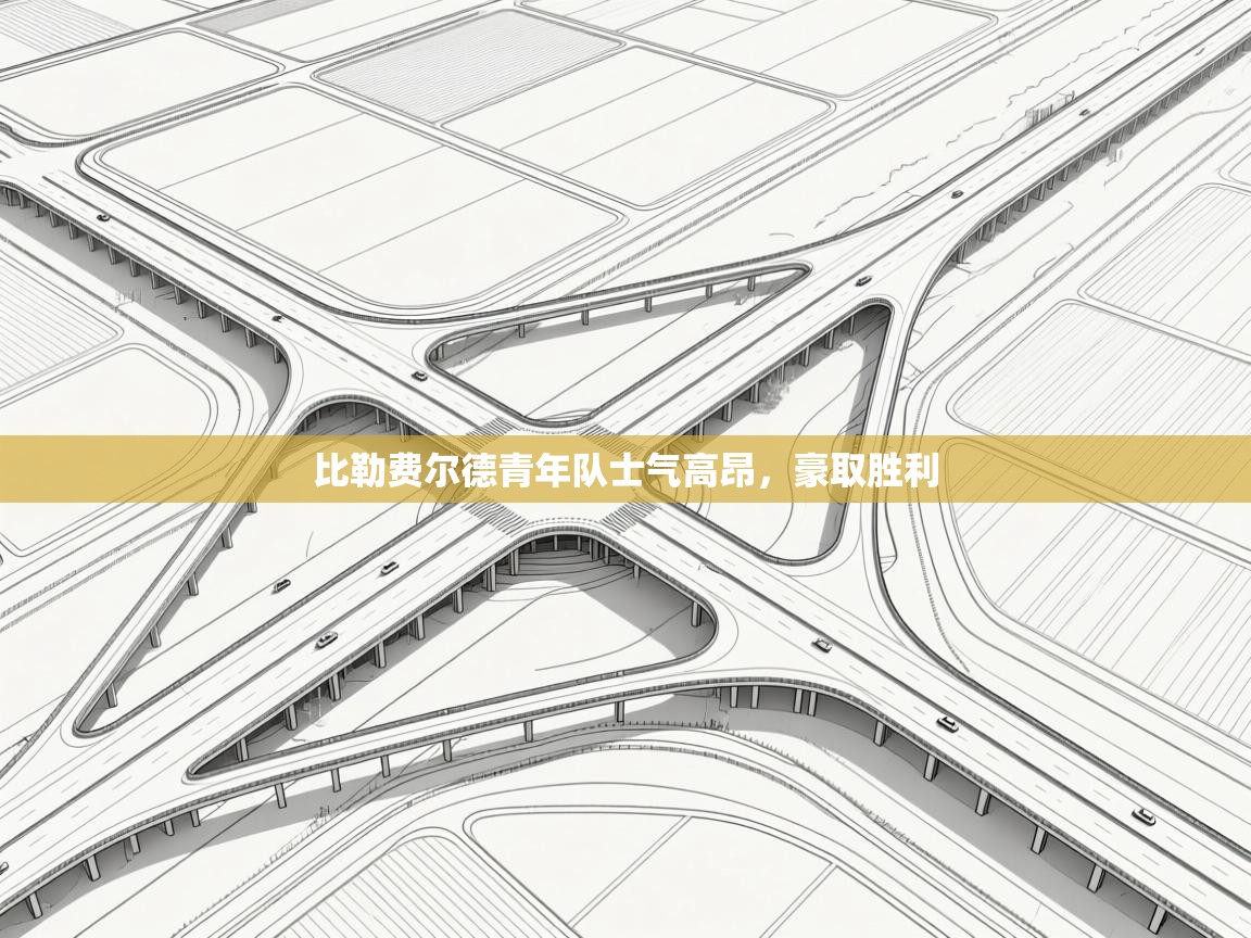 比勒费尔德青年队士气高昂，豪取胜利  第2张