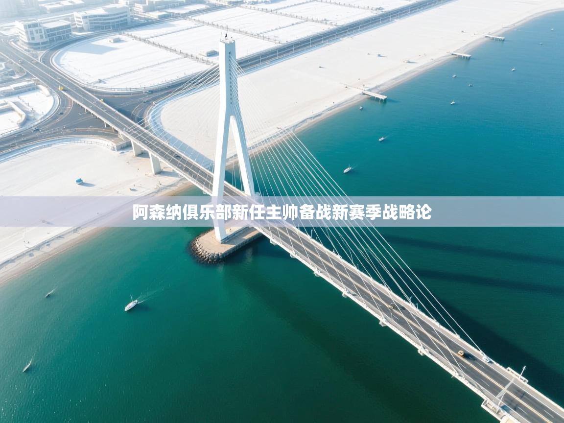 阿森纳俱乐部新任主帅备战新赛季战略论 第1张