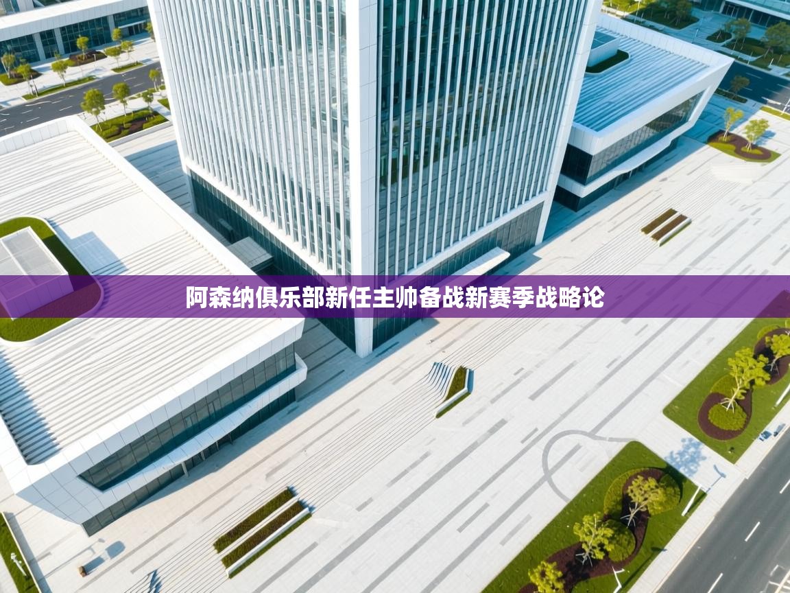 阿森纳俱乐部新任主帅备战新赛季战略论 第2张